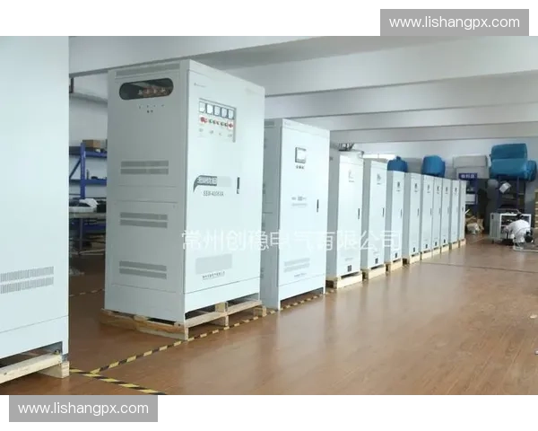 体能稳压器助力全身健康提升运动表现与抗压能力 体能稳压器助力全身健康提升运动表现与抗压能力